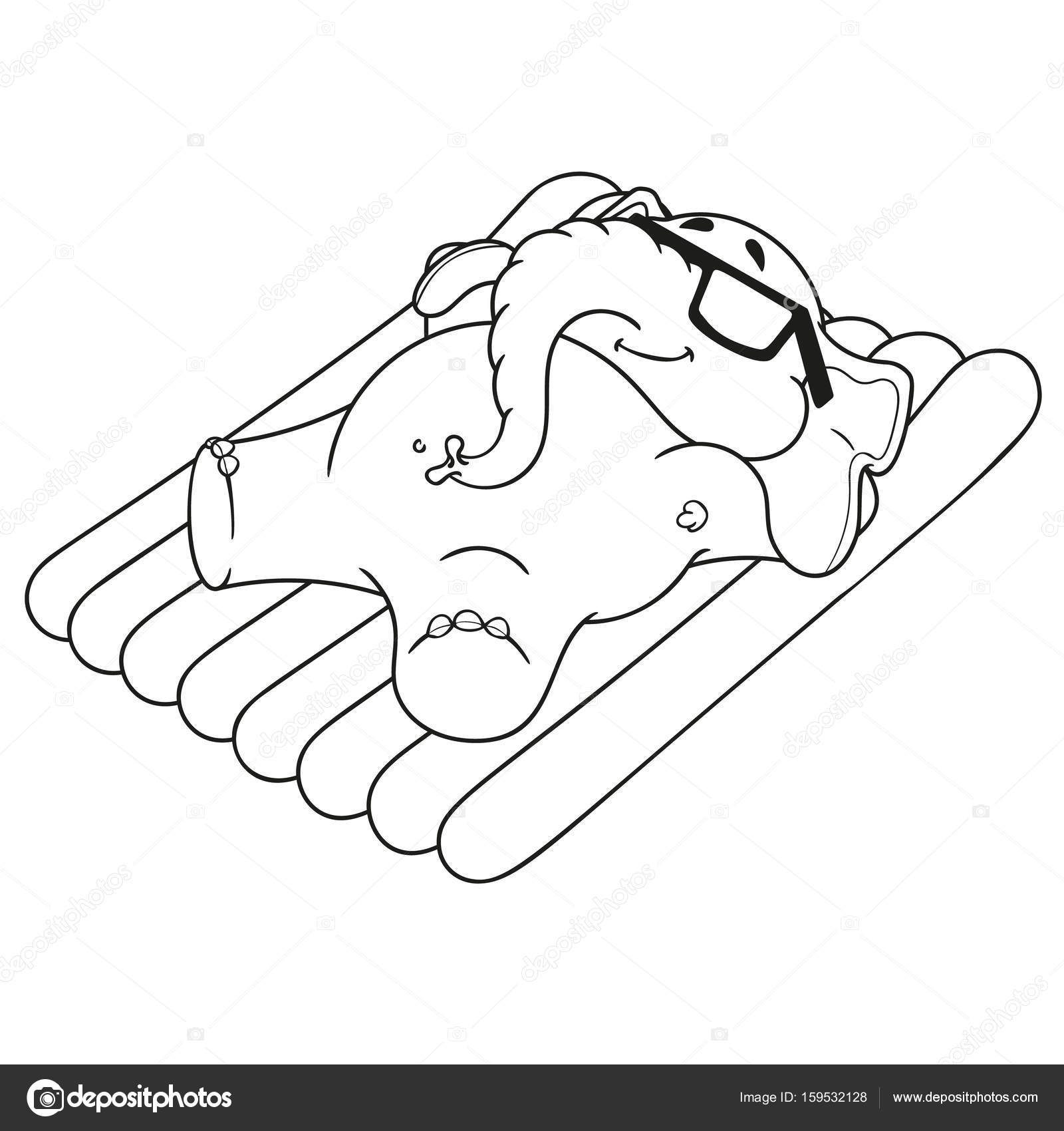 1600x1700 Elephant. Character. Summer, Beach, Happiness, Sea, Sun. On