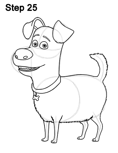 404x523 How To Draw Max From The Secret Life Of Pets