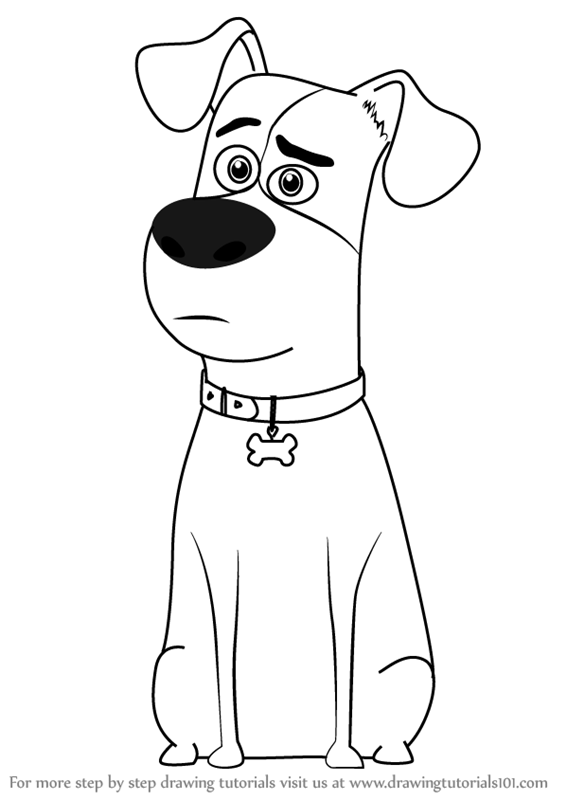 566x800 Learn How To Draw Max From The Secret Life Of Pets (The Secret