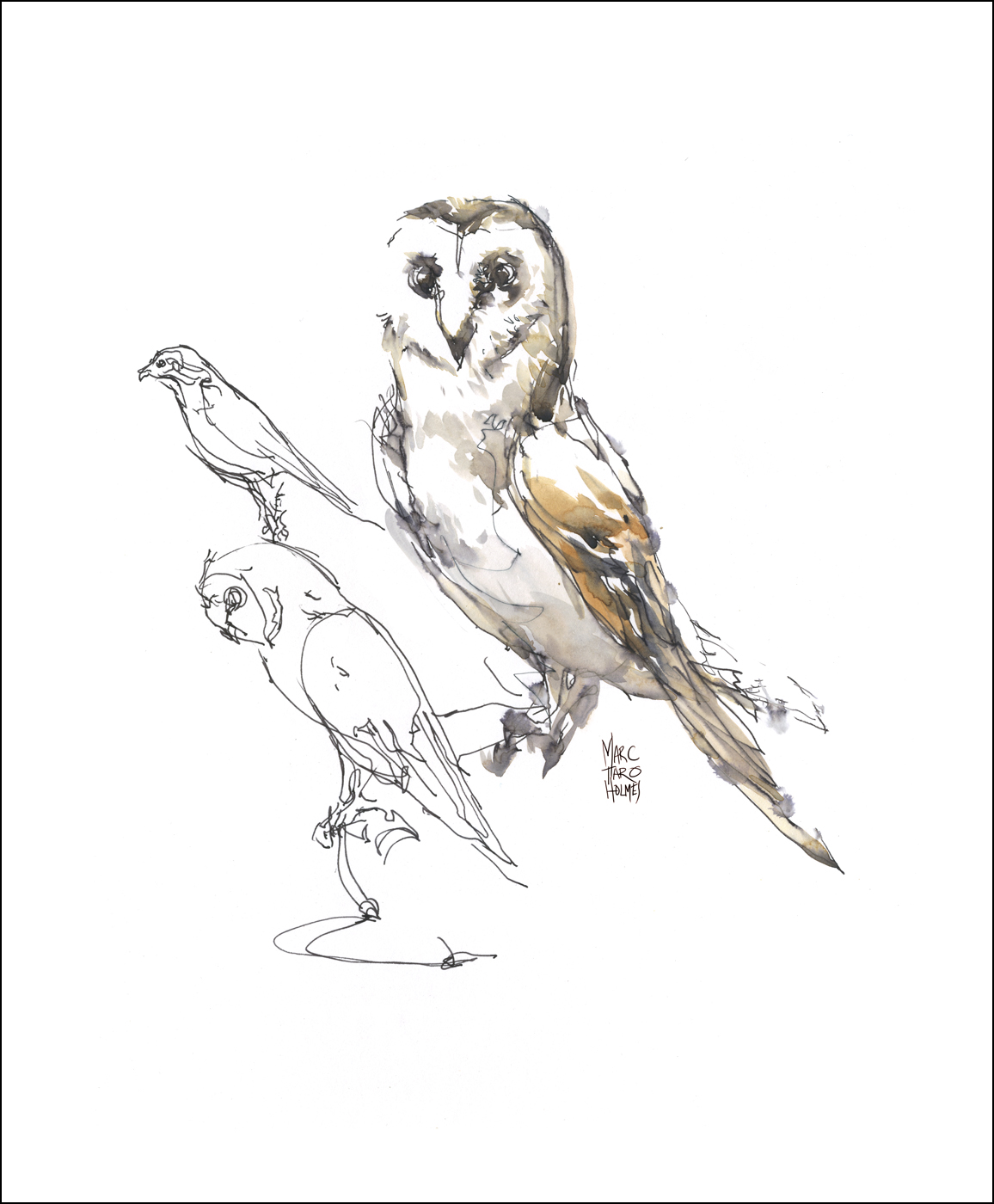 1156x1400 Drawing Birds From Life