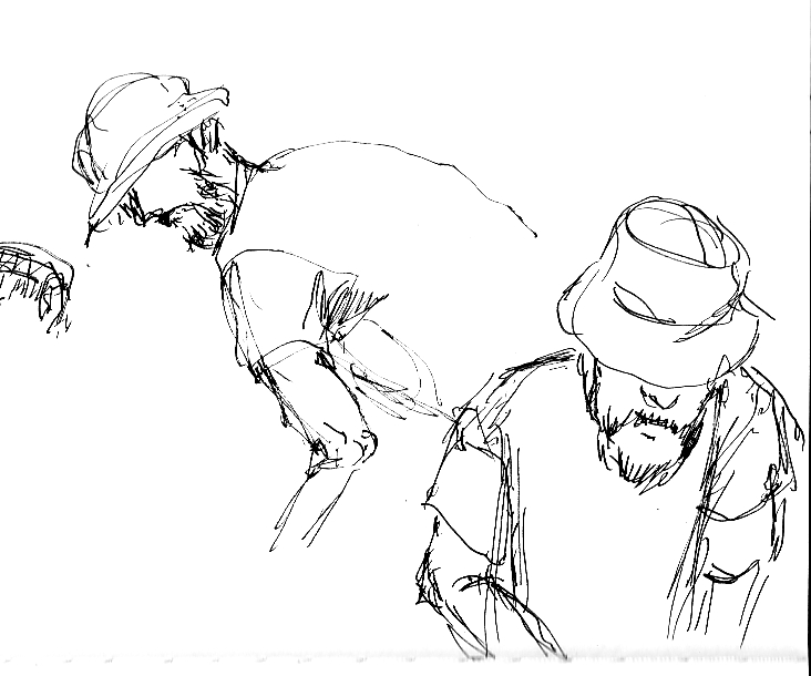 732x610 Every Day In May Day 30 Gardening Sketches See. Draw. Share.