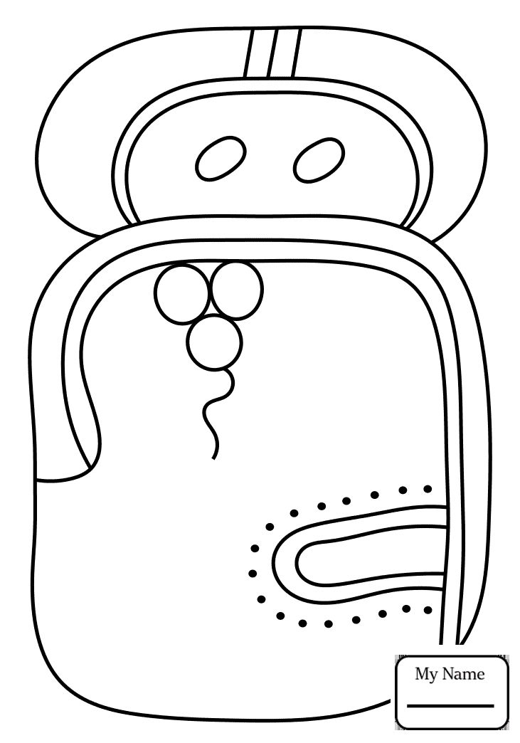 731x1044 History Mayan Warrior Maya Civilization Coloring Pages