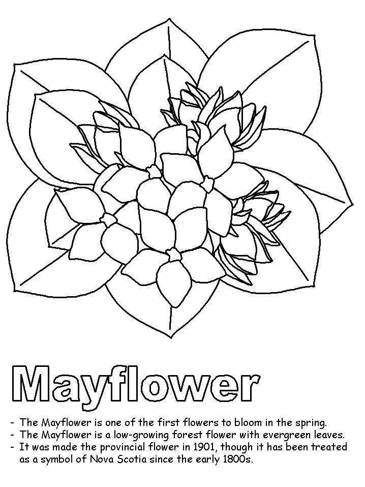 718x957 Mayflower Coloring Page