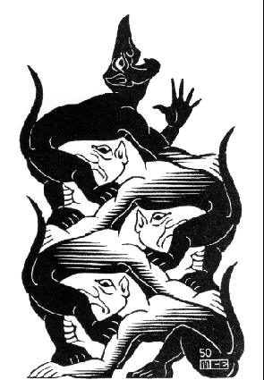 295x425 Picture Gallery