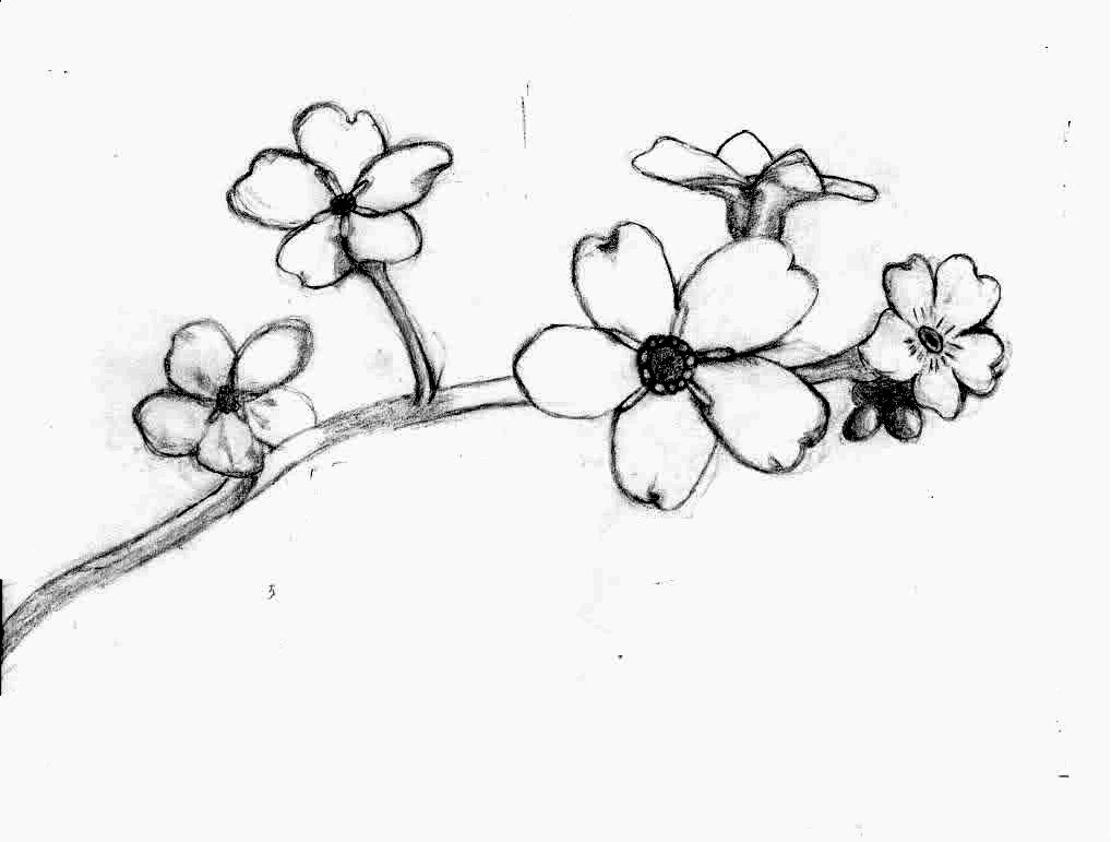 1018x771 Forget Me Not By Strangemellowfellow On Newgrounds