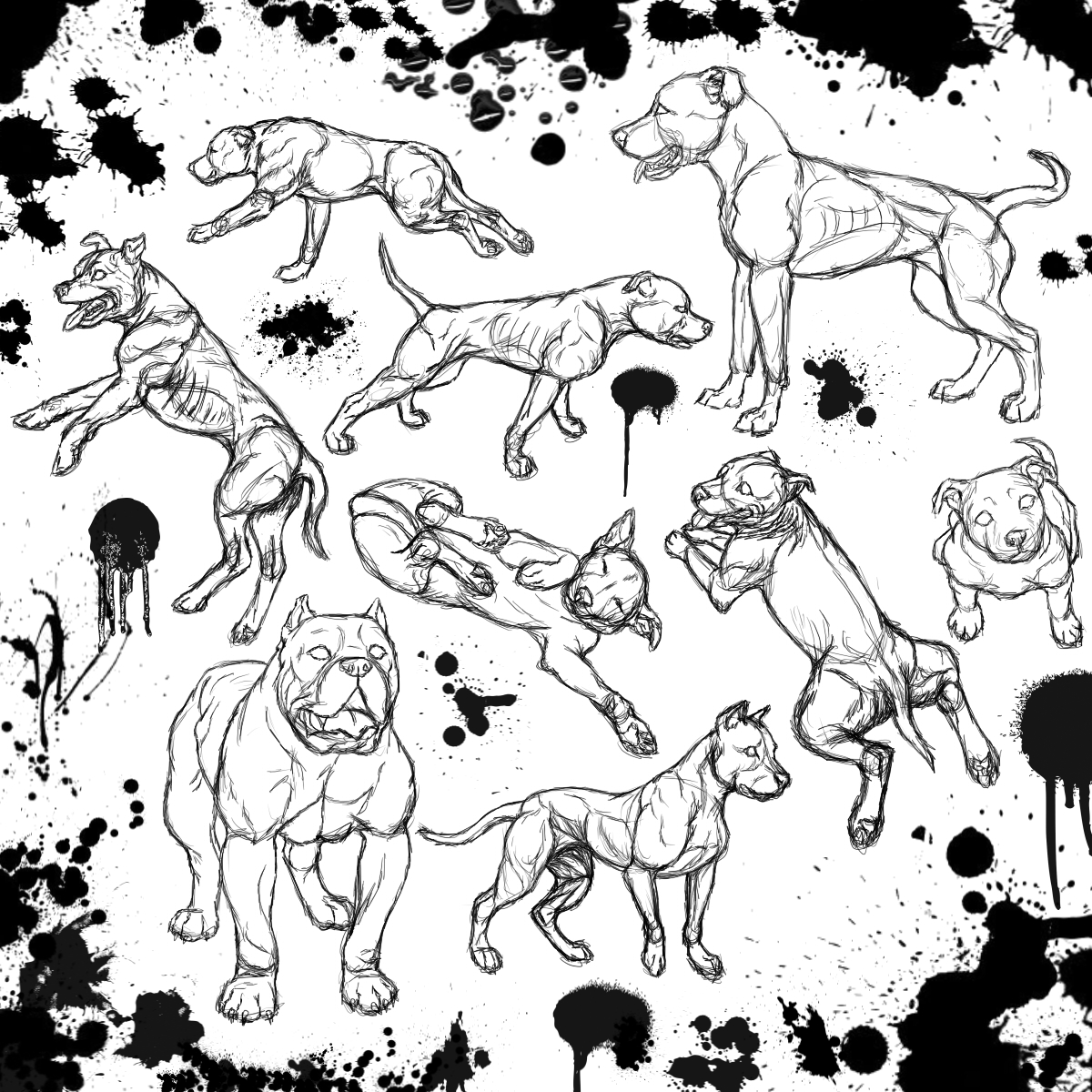 1200x1200 Pit Bull Sketch Dump By Eternusnexxx