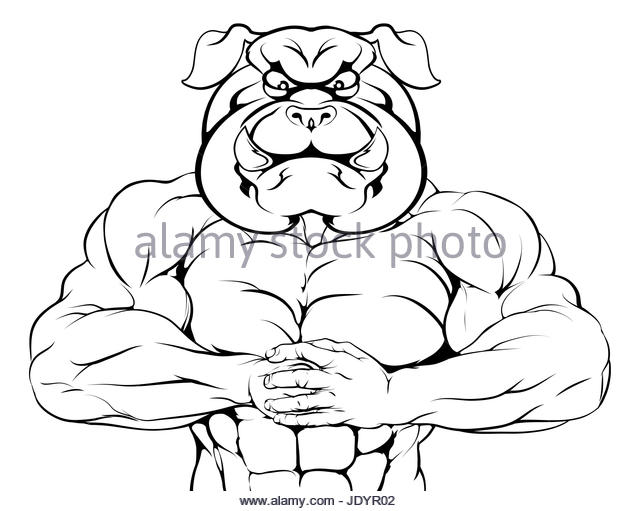 640x511 English Bulldog Dog Cartoon Stock Photos Amp English Bulldog Dog