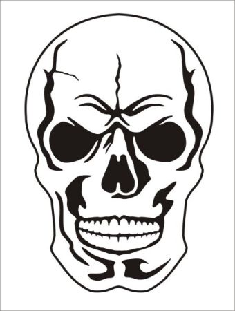 340x450 Would It Be Plagirism