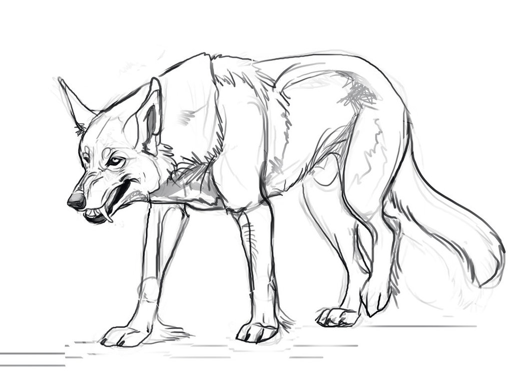 1017x786 Our Werewolves Are Different Tv Tropes 5151915