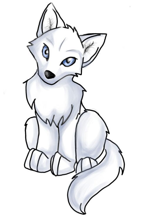 507x758 Pictures Cute Wolf Drawing,