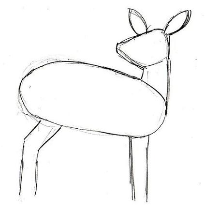 424x438 Measuring For Proportion