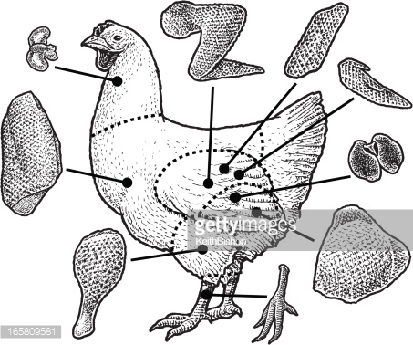 453x378 Cuts Of Chicken Drawing