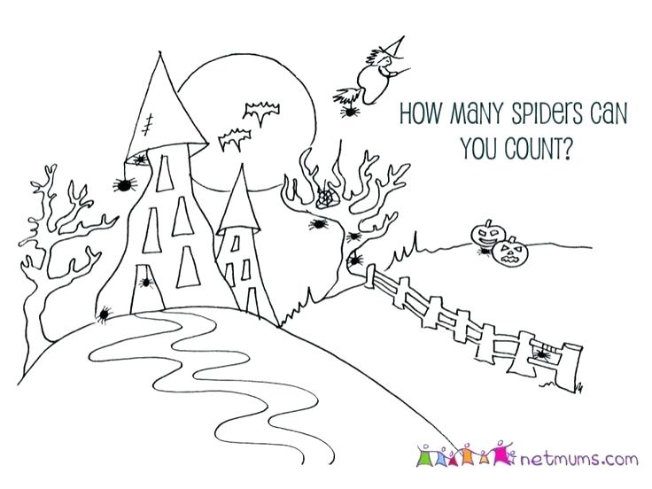 736x552 Drawing To Colour