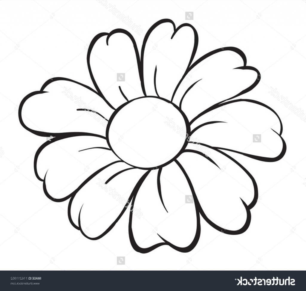 1024x971 A Drawing Showing A Picture Of A Flower Drawing Flower Designs