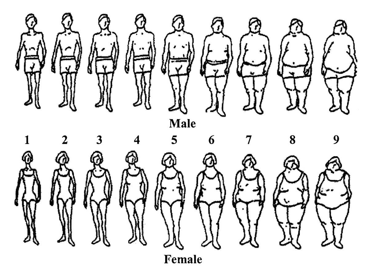 1200x894 Am2 News What Does An Unhealthy Bmi Look Like
