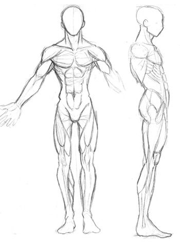 Medical Body Drawing at GetDrawings | Free download