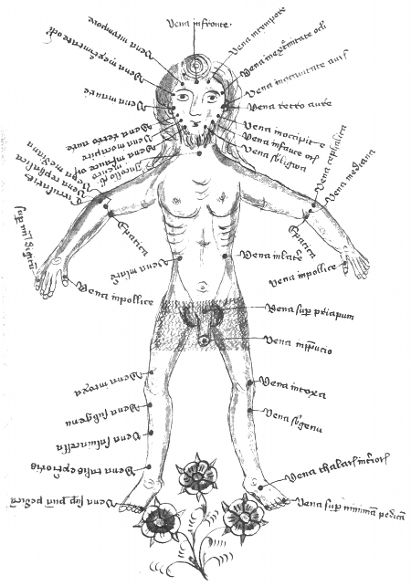 450x642 Medical Imagery Of The 15th Century The Public Domain Review