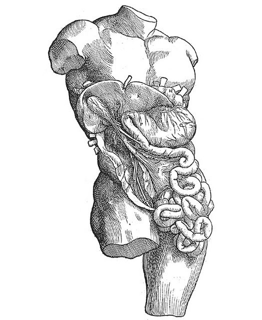 524x640 130 Best Vintage Science Images Images On Drawings