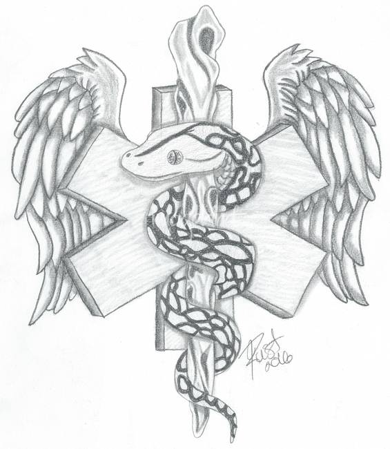 565x650 Stunning Medical Drawings And Illustrations For Sale On Fine Art