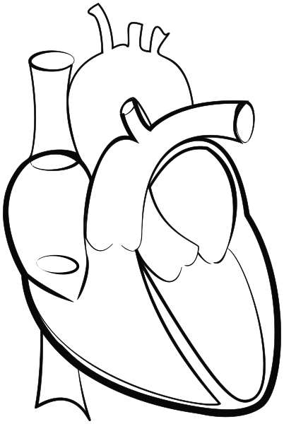 402x600 Heart Lineart