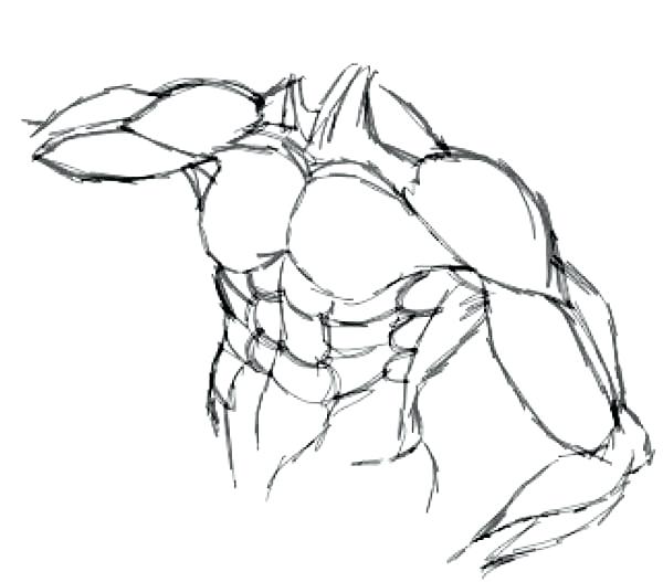 600x527 Human Anatomy Coloring Pages. Good Human Anatomy Coloring Pages X