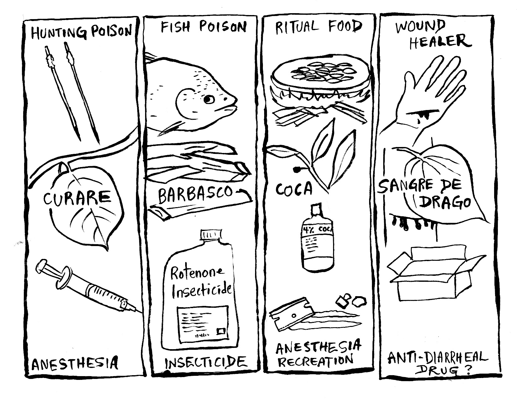 1650x1273 36. Rainforest A Patient's Perspective Traditional Amazonian