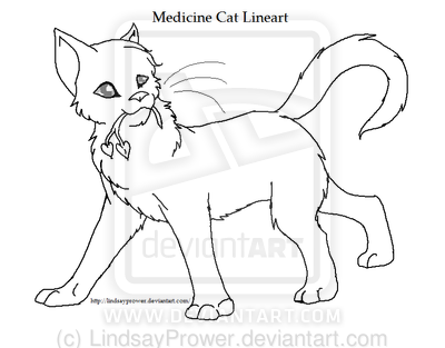 400x313 Warriorslineart Medicine Cat By Lindsayprower D3 By