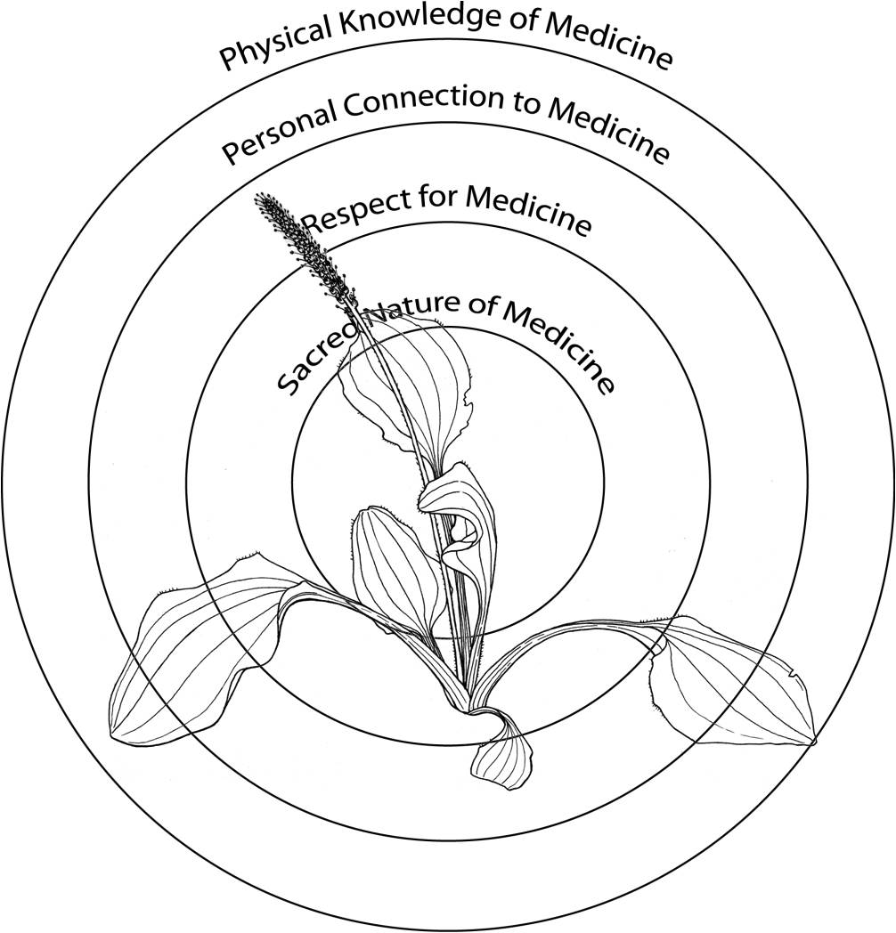 1006x1048 Activities Integrative Science