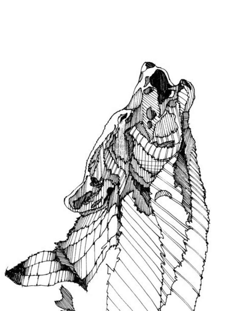 751x1024 Medicine Wheel Mahaloness