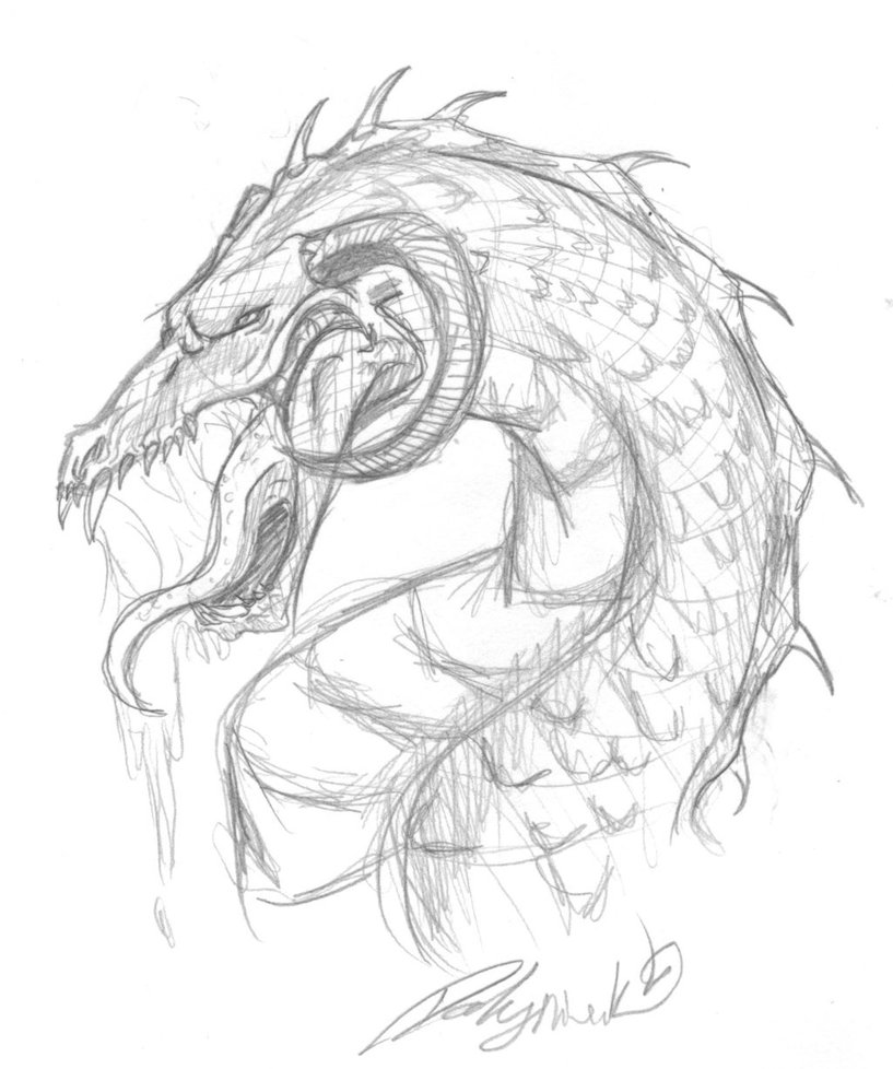 817x978 Medieval Dragon By Risingsmoke