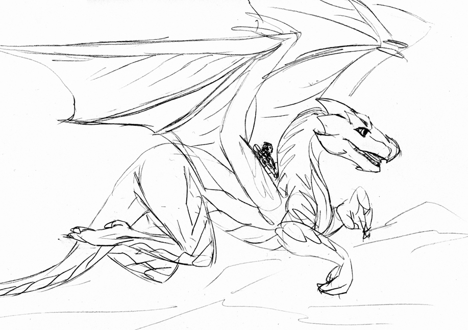917x648 Medieval Sketch Dragon Riding By Archicrash