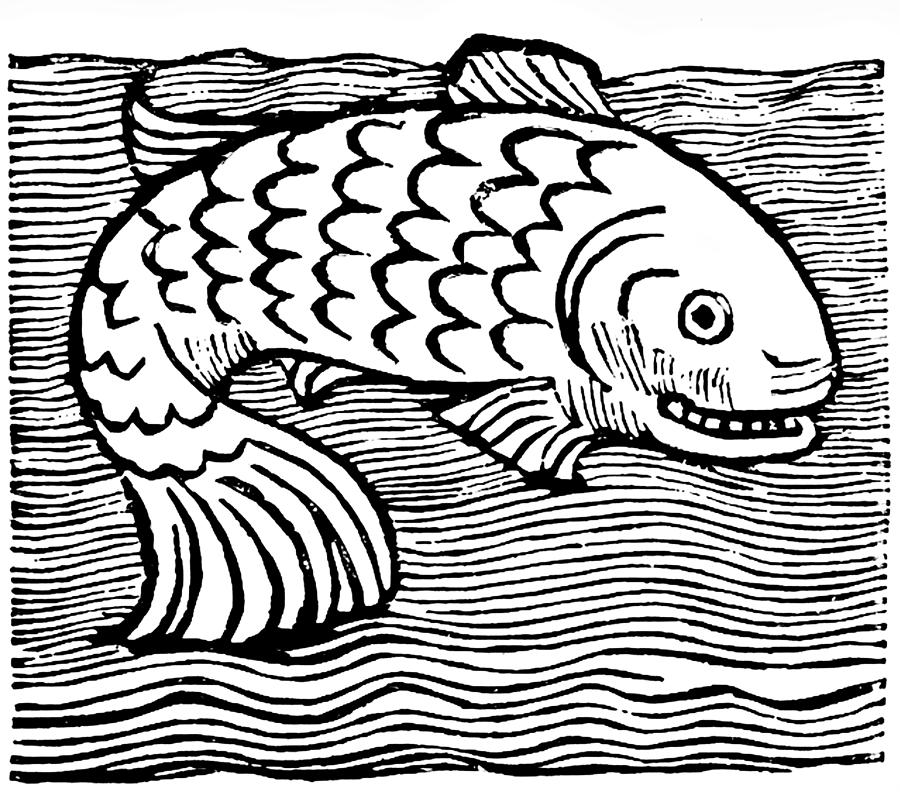 900x794 Leviathan Fish Engraving Drawing By