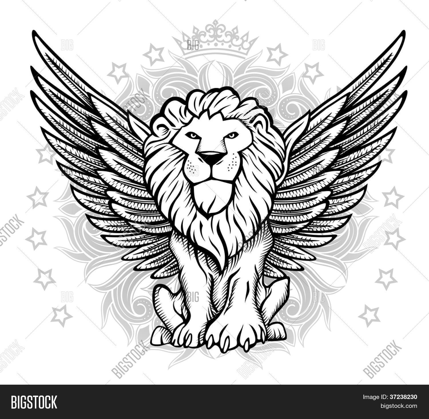 1500x1464 Winged Lion Front View Drawing Vector Amp Photo Bigstock