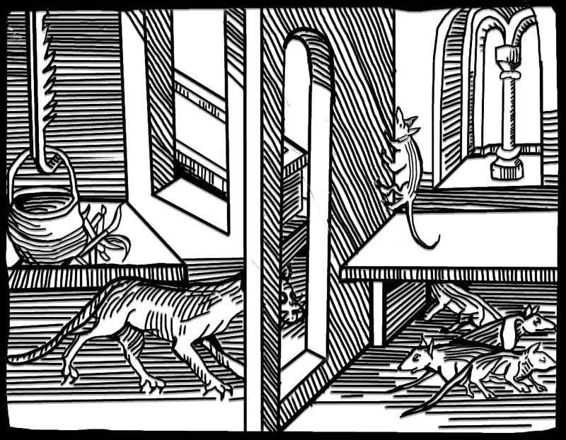 800x622 Normans Medieval