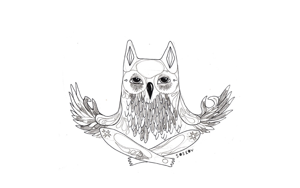 1000x627 Meditating Owl By Ferruti