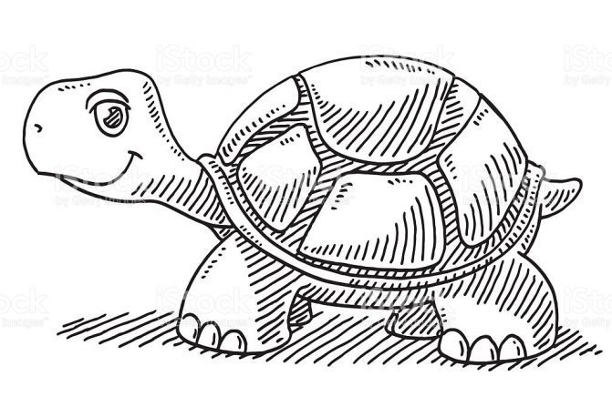 671x447 Coloring Pages Cartoon Turtle Drawing How To Draw A Step 6