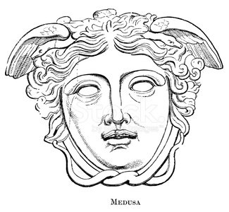 325x300 Medusa Stock Vectors