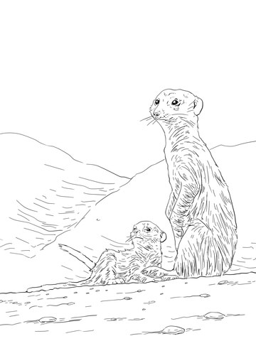 360x480 Meerkat Mother With Pup Coloring Page Free Printable Coloring Pages