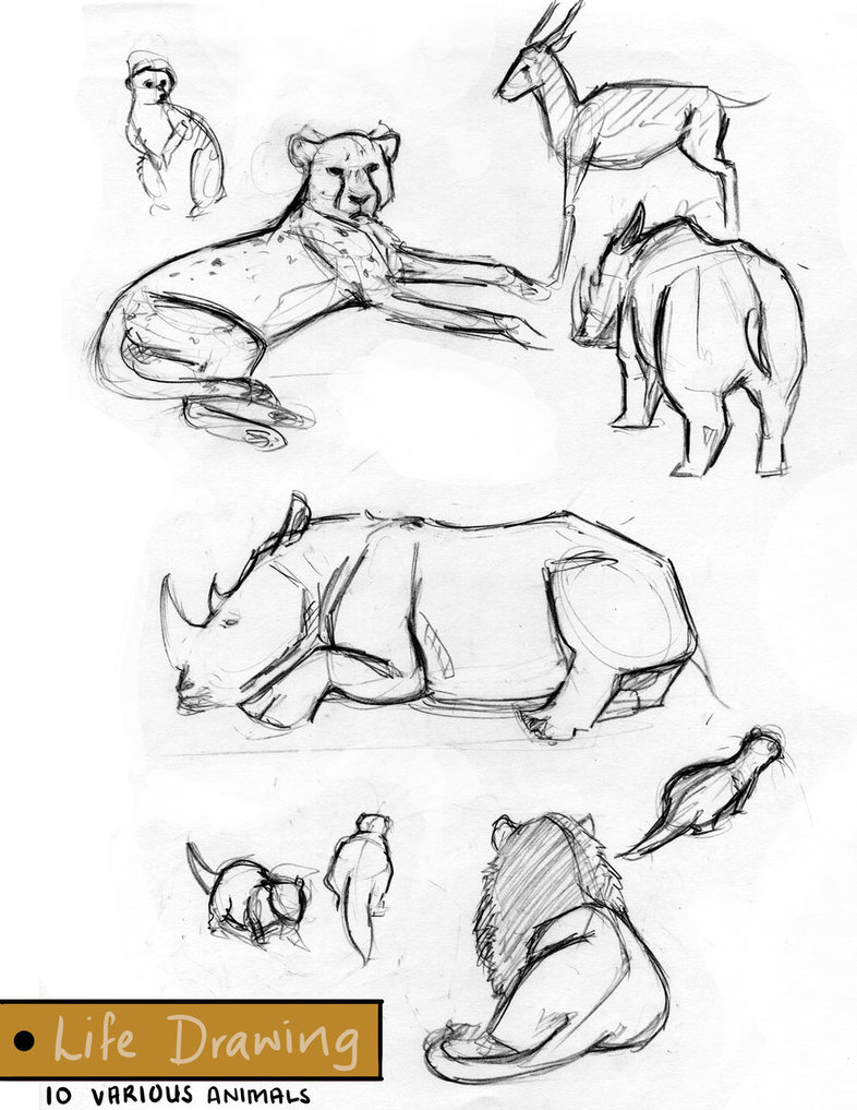 786x1017 Meerkat Project Life Drawings By Vanished Shadow