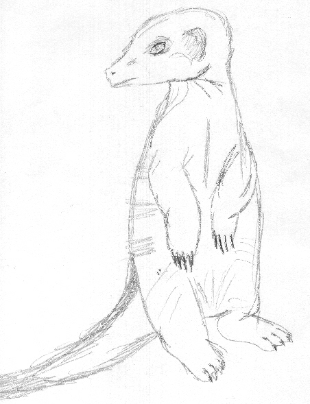 452x589 Meerkat By Dragon The Tribrid