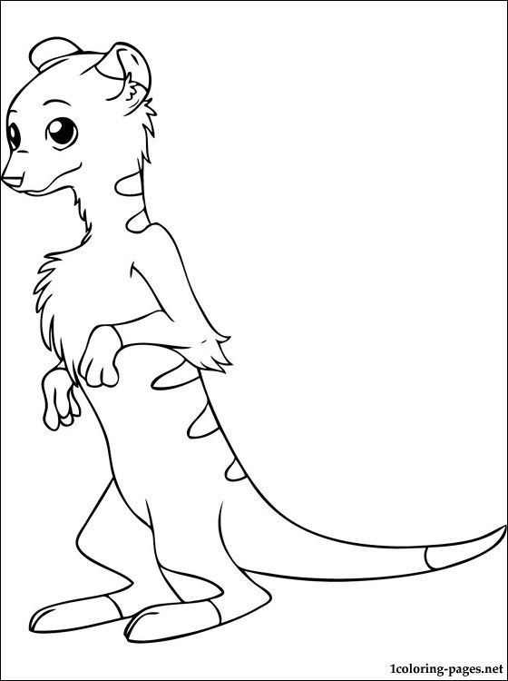 560x750 Meerkat Coloring Page Coloring Pages