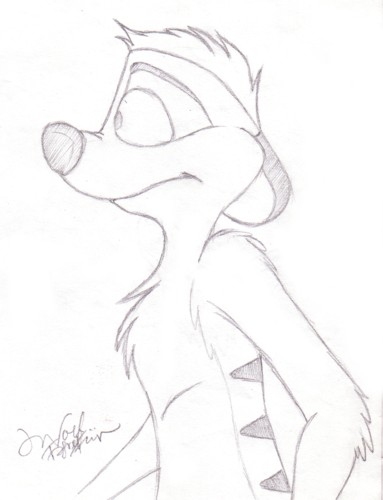 383x500 Timon The Meerkat By Wolffirefur