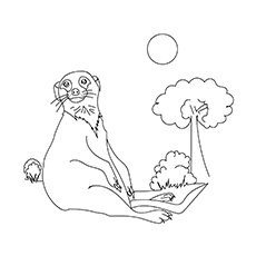 230x230 Top 10 Meerkat Coloring Pages