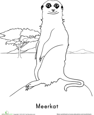 301x368 Line Drawings Simple Meerkat