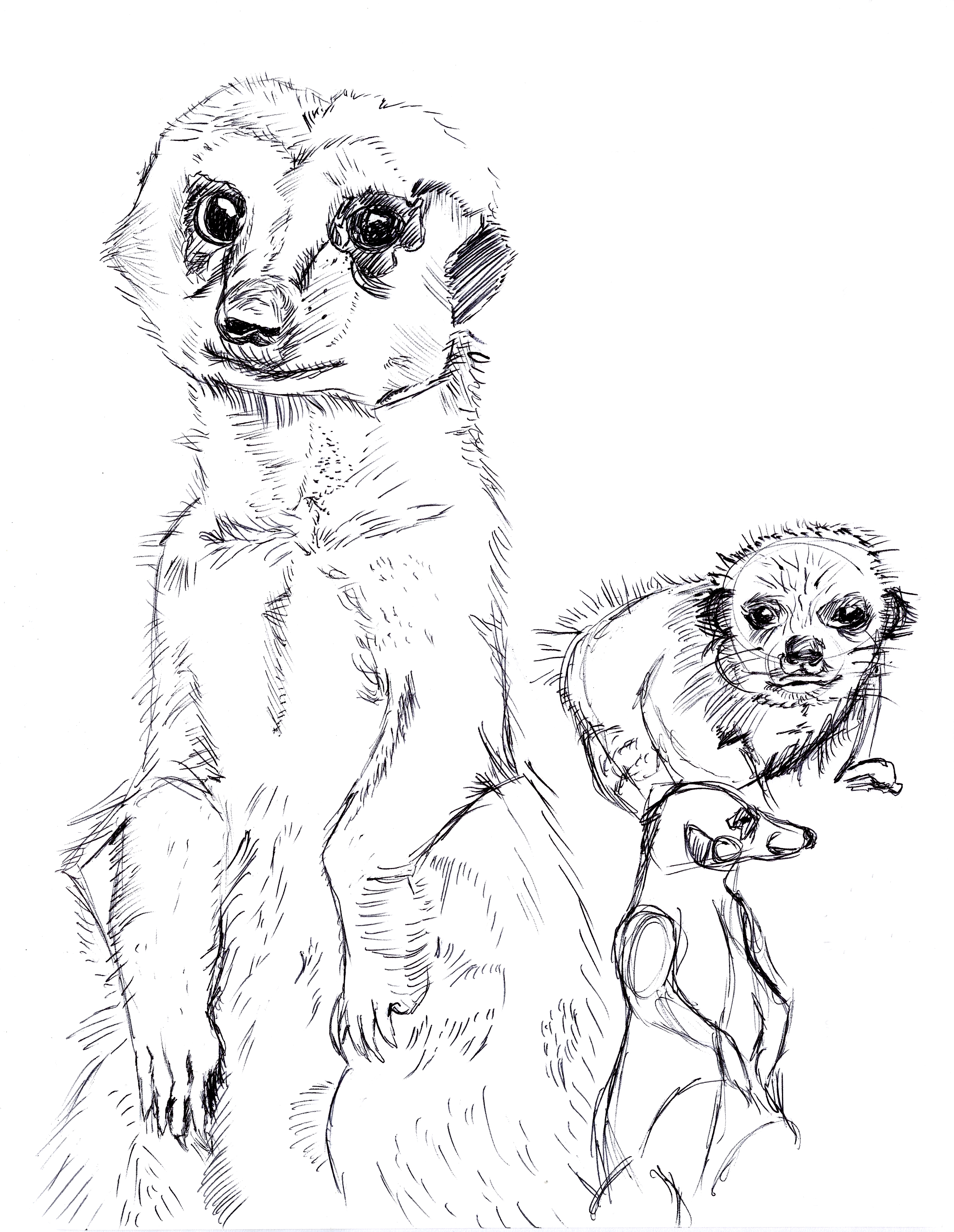 2540x3280 Gallery Katie Hopkins