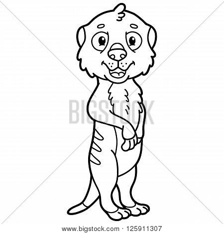 450x470 Meerkat Images, Illustrations, Vectors