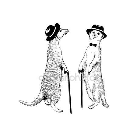 450x450 Meerkats Stock Vectors, Royalty Free Meerkats Illustrations