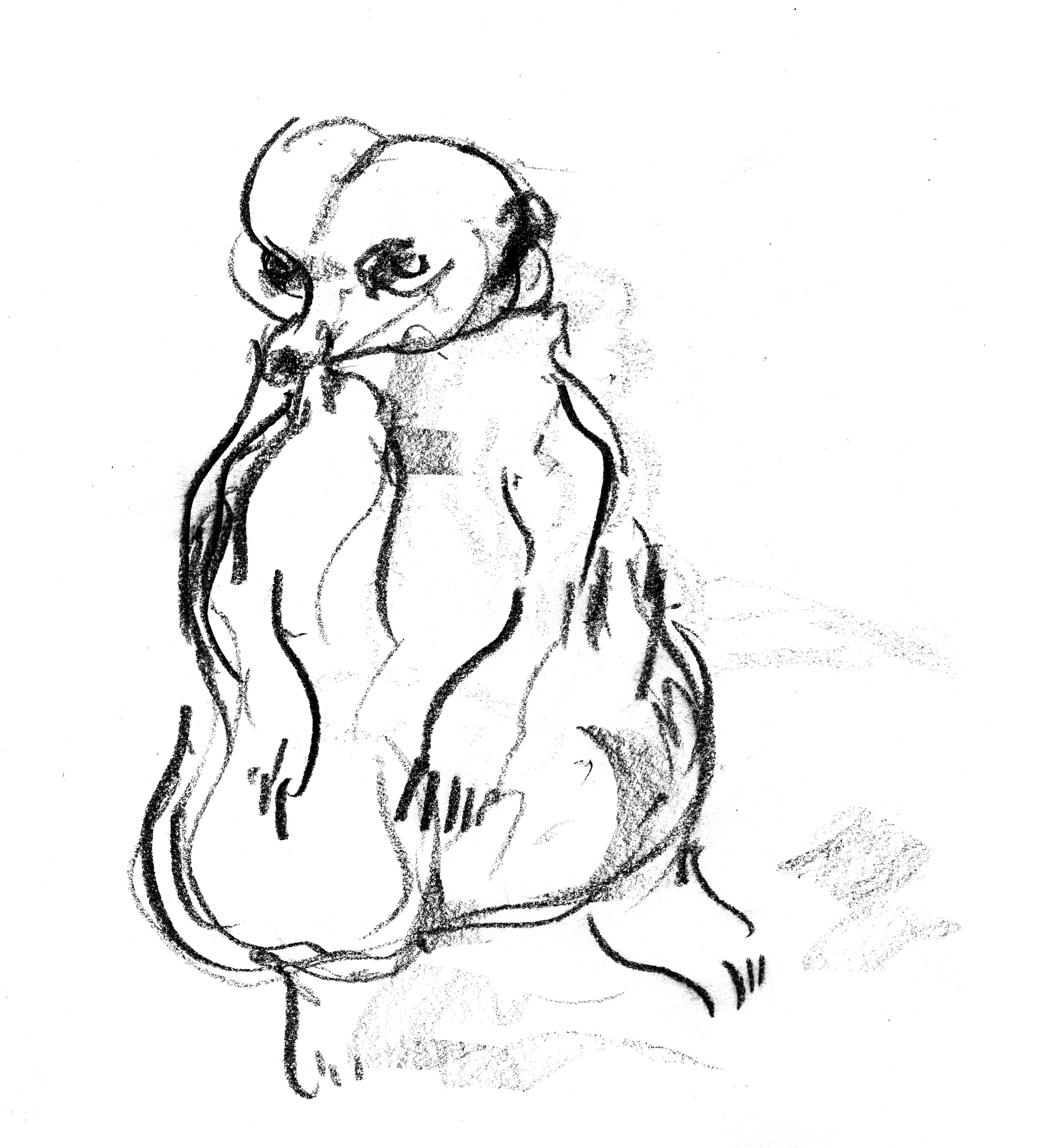 4938x5343 Other Animals Louwilde