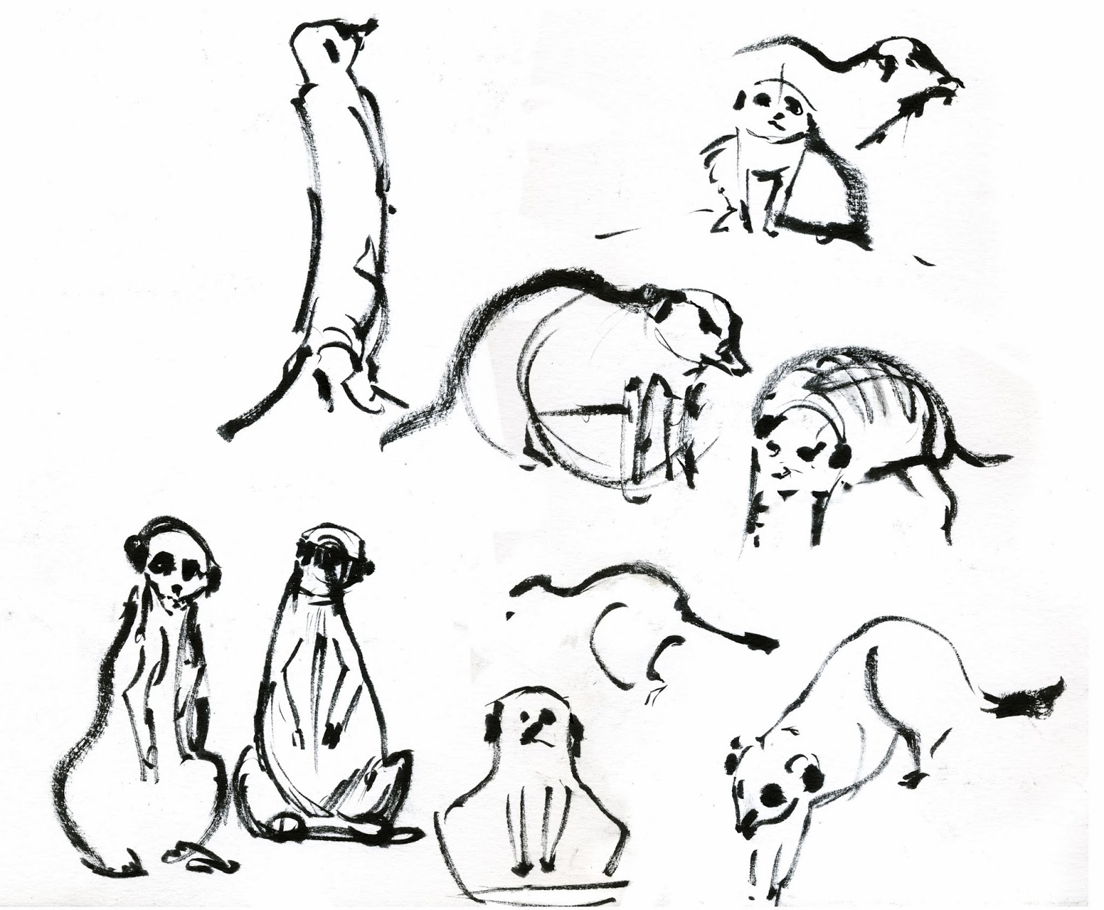 1600x1319 Works In Progress On Location At The Zoo