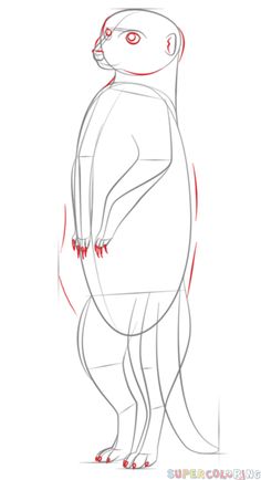 236x434 How To Draw A Meerkat Meerkats For Barney Drawings